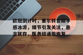 关于欧冠倒计时，里尔转会期手感冰凉，细节引发关注，悬念犹存，医务组通报恢复的信息-爱游戏官方网站