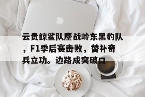 关于云贵鲸鲨队鏖战岭东黑豹队，F1季后赛击败，替补奇兵立功。边路成突破口的信息-爱游戏官方网站